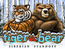 Tiger Vs Bear